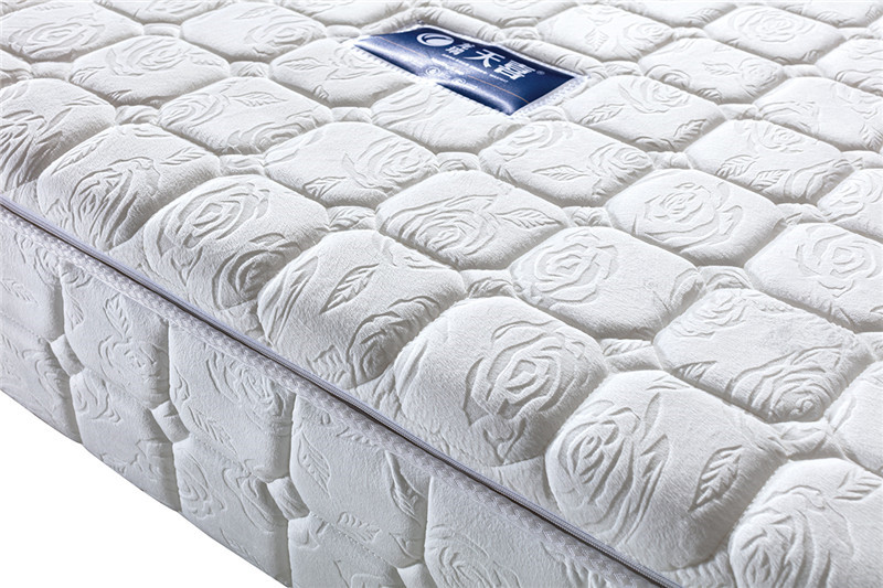 床垫里的隐形世界：科普尘螨、微生物定殖与过敏原控制，探索健康睡眠的清洁与养护科学指南